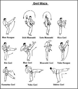 KARATE IN HINDI