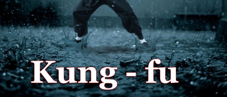 MARTIAL ARTS IN HINDI